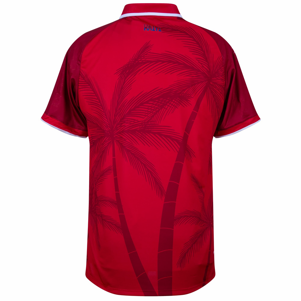 CAMISETA TERCERA HAITÍ 26