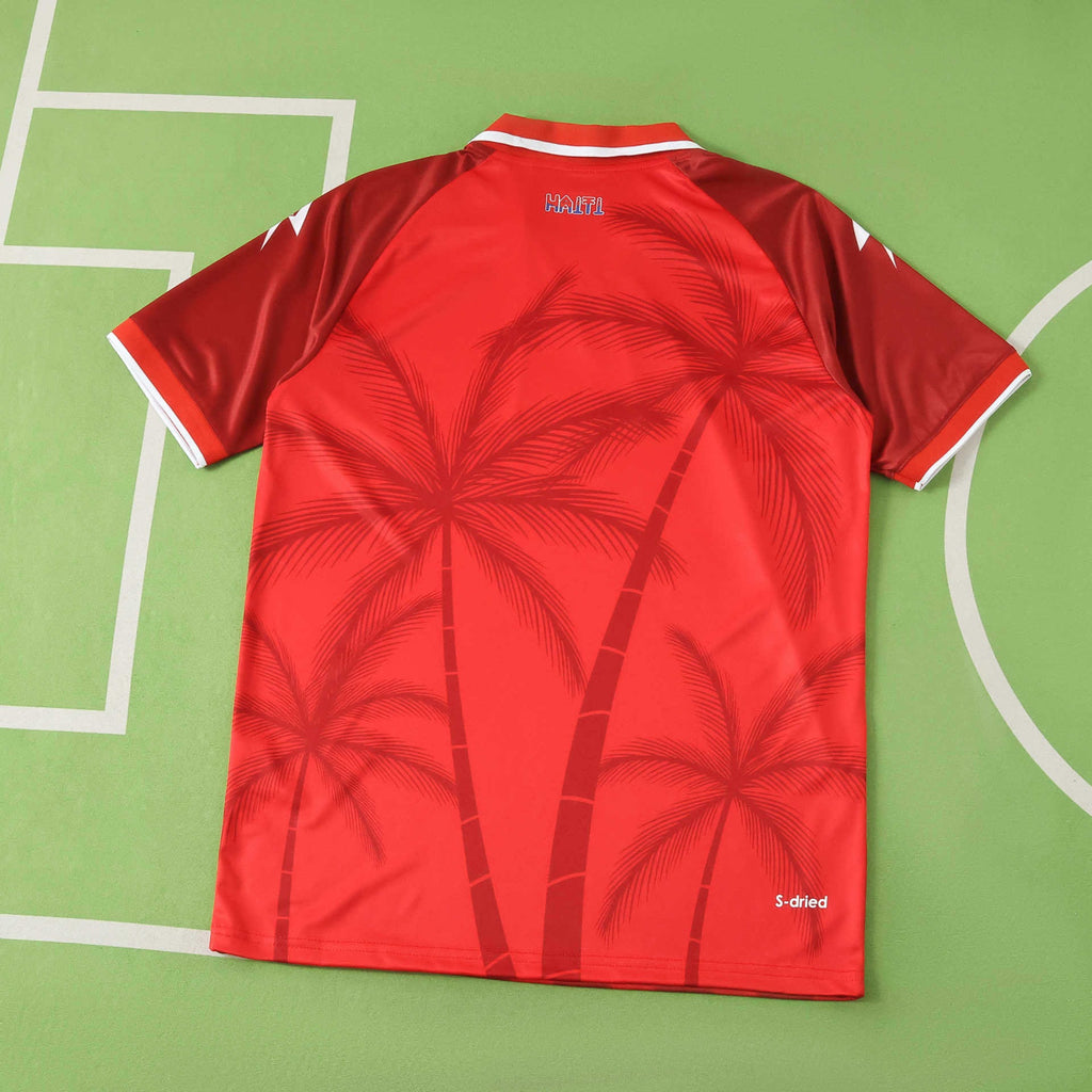 CAMISETA TERCERA HAITÍ 26