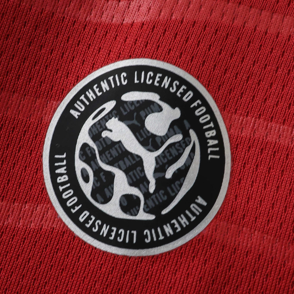 CAMISETA LOCAL PORTUGAL 26
