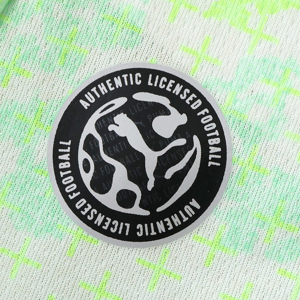 CAMISETA VISITA SUIZA 26