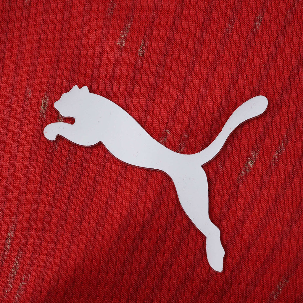 CAMISETA LOCAL SUIZA 26
