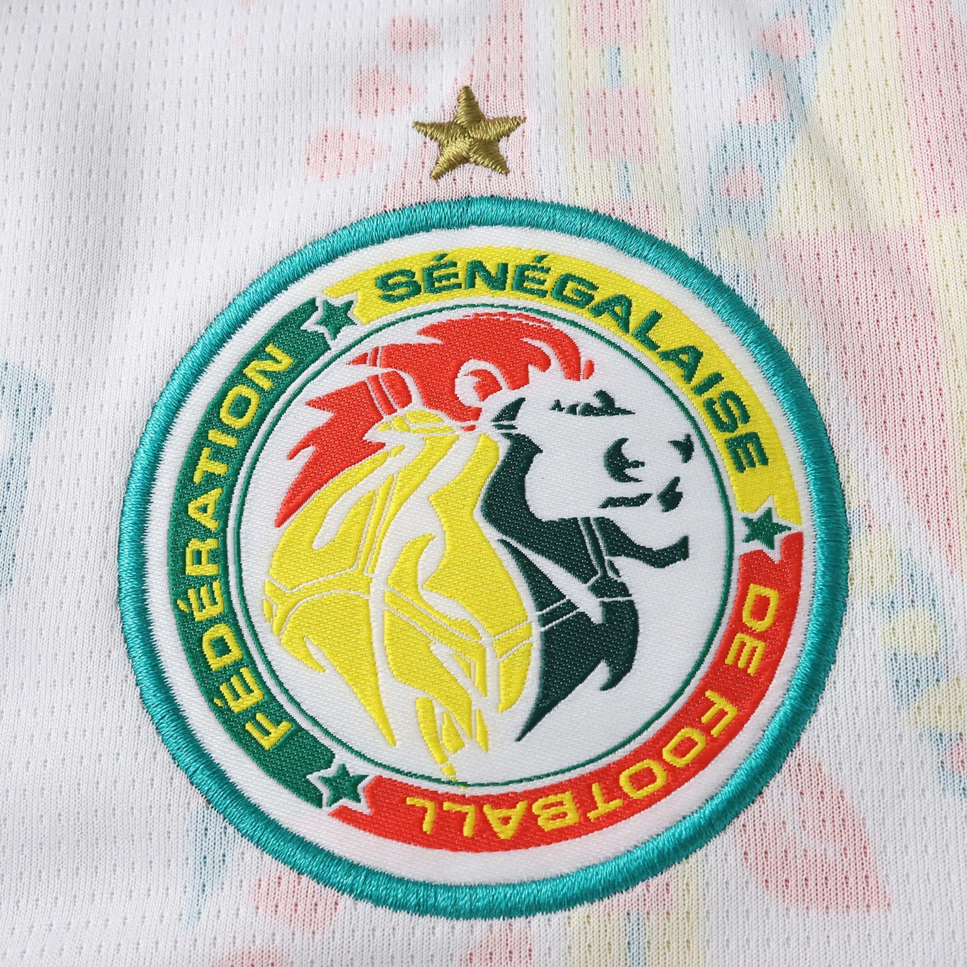 CAMISETA LOCAL SENEGAL 26